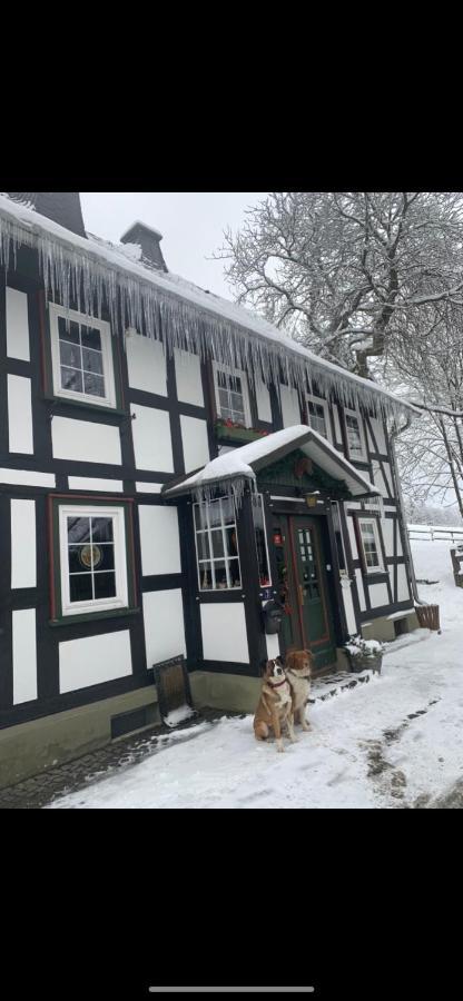 Berghof Schmitte Pension Winterberg Buitenkant foto