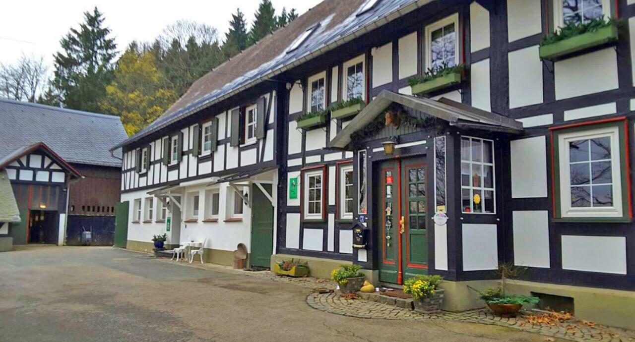 Berghof Schmitte Pension Winterberg Buitenkant foto