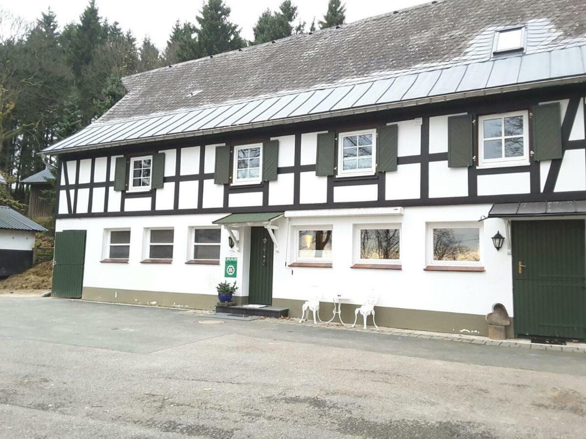 Berghof Schmitte Pension Winterberg Buitenkant foto